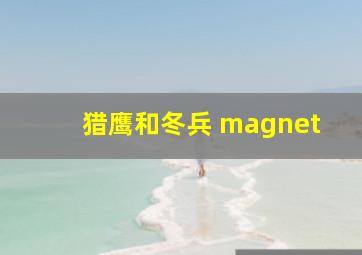 猎鹰和冬兵 magnet